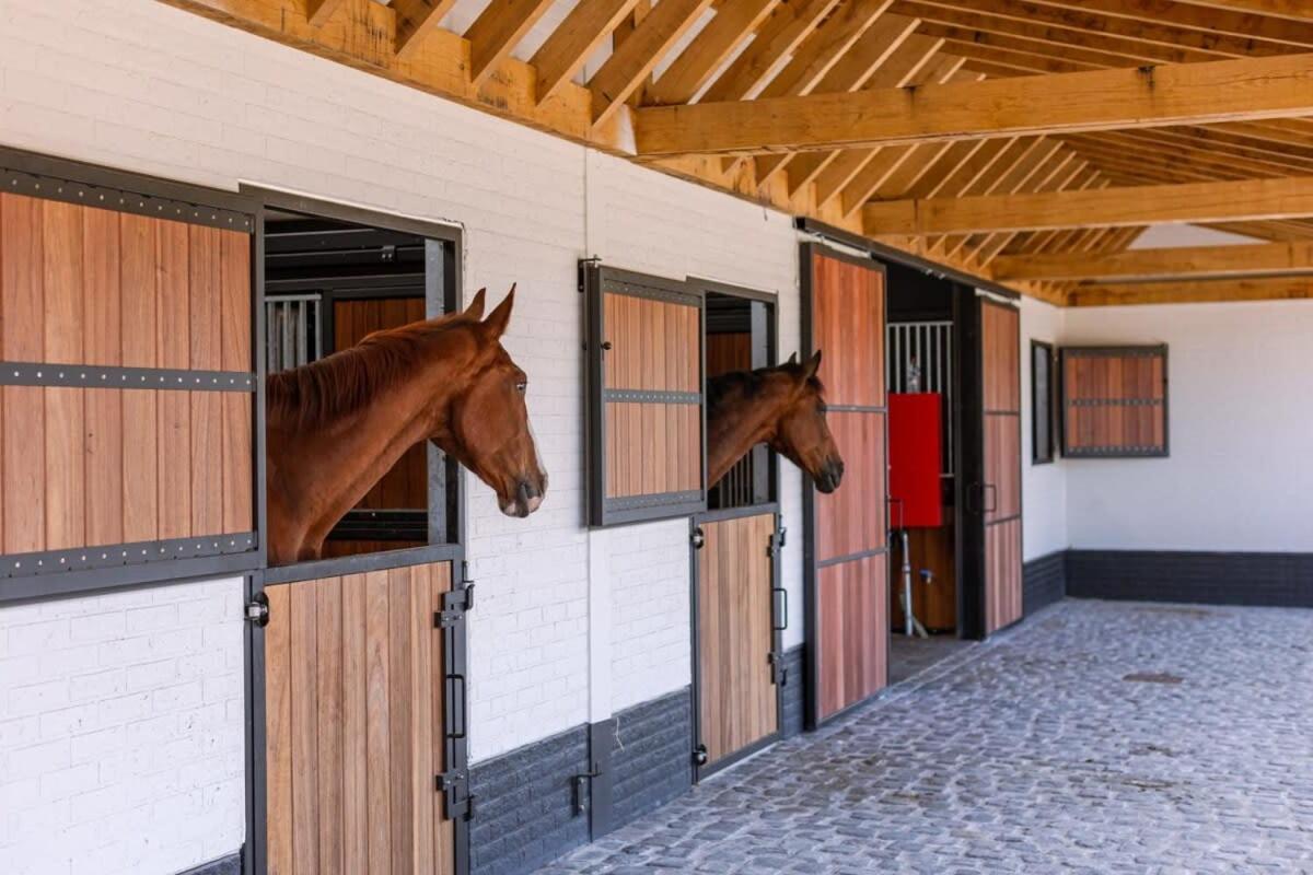 Huswell - Lady - Lovely Double Room At Ranch De Blauwe Zaal Brugge Dış mekan fotoğraf
